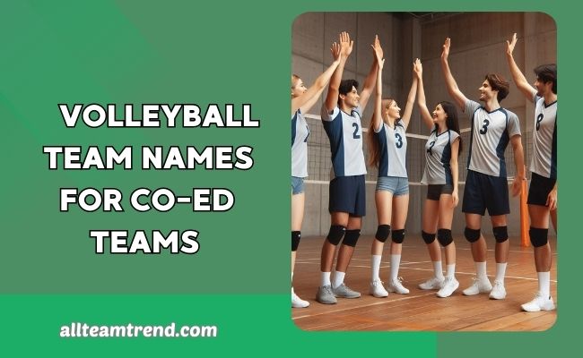 Volleyball Team Names For Co-ed Teams