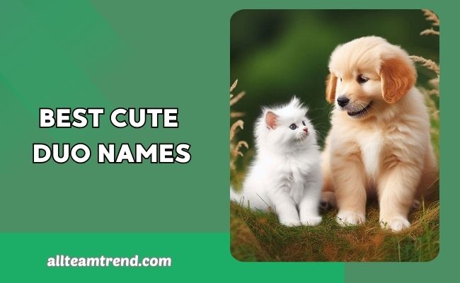 Best Cute Duo Names